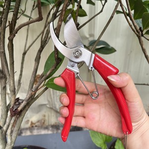 Pinheng Stainless Steel Pruning Shears 52mm Blade 20-30mm Trimming Diameter Butterfly Structure Garden <b>Tool</b> - Product Image 1