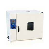 Four de séchage électrique de laboratoire, chambre en acier inoxydable pour la déshydratation/échantillons chimiques/biologiques, four de séchage à air chaud