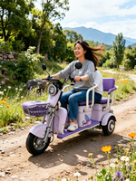 Tricycle électrique intelligent haut de gamme et écologique, facile à manier et plein de plaisir, un assistant indispensable pour votre famille