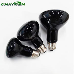 Водонепроницаемая инфракрасная нагревательная лампа PAR38 275 Вт для рынка Вьетнама - Product Image 1