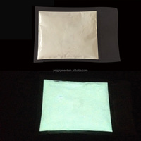 Poudre lumineuse phosphorescente blanche phosphorescente dans la poudre de Pigment sombre