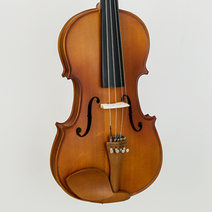<span class=keywords><strong>Violon</strong></span> mat 4/4 3/4 1/2 avec corps en épicéa et érable, cordier en jujube, 4 accordeurs fins chromés, ensemble de <span class=keywords><strong>violon</strong></span> avec étui et archet, accepte les commandes OEM - Product Image 3