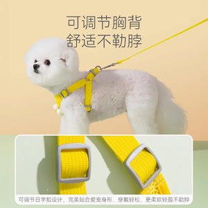 Small dog leash, small dog <b>harness</b>, Teddy, Bichon Frise, Pomeranian puppy <b>harness</b>, cat pet dog leash, dog walking rope - Product Image 3