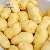 (TS-M600) Industriële Groenten En Fruit Peeling Machine/Aardappel Wortel Gember Dunschiller En Wasmachine Machine