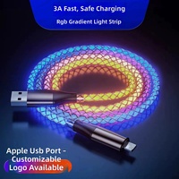 Câble USB Lumineux RGB Tressé TPE 3A à Charge Rapide avec Conducteur en Cuivre Pur, Câble de Données USB Type-C Luminescent pour iPhone 17
