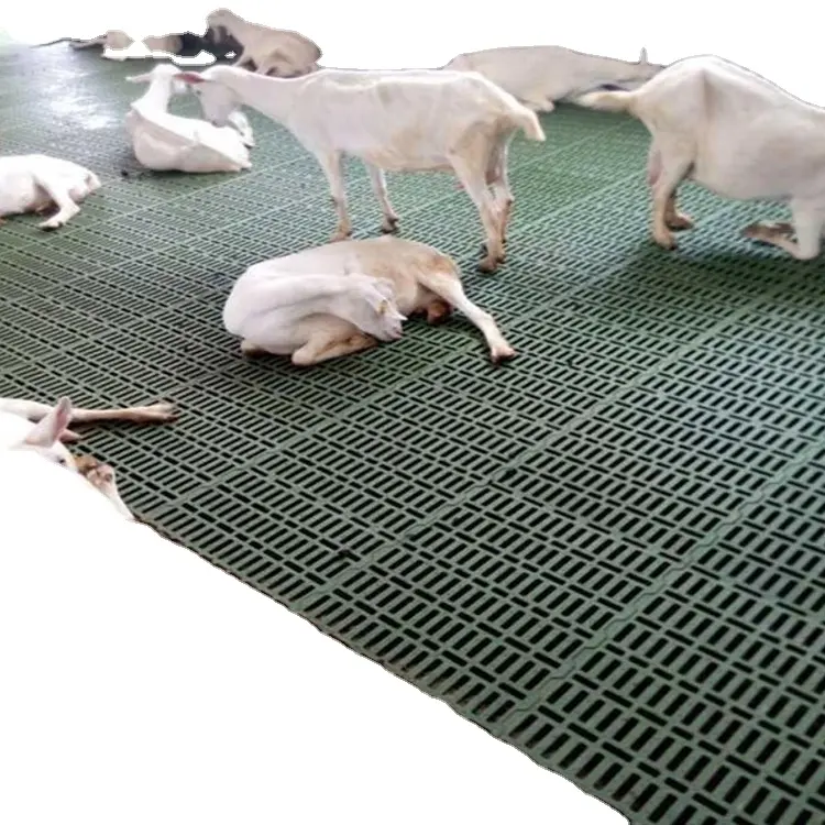 鶏ウサギアヒルガチョウ豚羊ヤギ牛牛プラスチック小屋格子用のカスタムサイズの咬傷防止プラスチック農業塩床