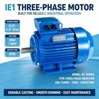 Moteur asynchrone triphasé encastré 5,5 CV 4 kW IE1, homologué CE EAC, induction AC 50/60 Hz 220-760 V B3