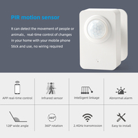 Tuya APP Control remoto USB Power Detector infrarrojo inalámbrico Sistema de alarma Tuya Sensor de movimiento WiFi Smart Home Sensor PIR