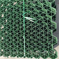 Fournisseur de grilles en plastique Ecoraster, grille pour gazon
