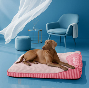 Coussin rafraîchissant pour chien en soie glacée, tapis d'été confortable pour animaux de compagnie, lit de couchage intérieur antidérapant pour chiens de grande, moyenne et petite taille - Product Image 5