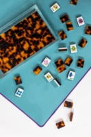 Jeu de Mahjong Américain de Luxe en Acrylique 2 couches, motif Tortoise, écologique, pour quatre joueurs