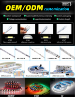 Bande LED personnalisée WS2812B WS2811 WS2815 5050 5V 12V 24V RGB Rgbw Rgbww RGBIC IP65/IP67/IP68 étanche Tira Led Strip