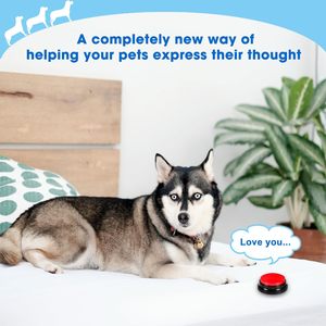 Multiple Colors Talking <b>Buttons</b> for <b>Dogs</b> Recordable <b>Dog</b> Training Speaking <b>Buttons</b> <b>Dog</b> <b>Buttons</b> for Communication - Product Image 3