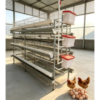 Cages à volailles de style H entièrement assemblées pour poules pondeuses, avec perchoirs réglables et plateaux de nidification inclinés