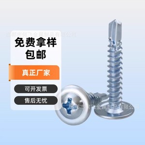 Vis autoperceuse à tête ronde Phillips avec rondelle, métrique M4.2x13 16 19 25 32 38 50, acier au carbone galvanisé de grade 8.8 - Product Image 1