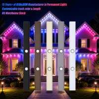 Projecteurs LED à piste en aluminium pour extérieur 30 mm 12 V 24 V 36 V IP68, éclairage de Noël programmable à points lumineux LED permanents