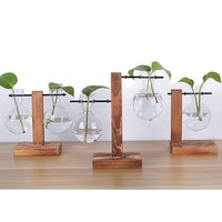 Vase en verre borosilicate de haute qualité, micro-paysage hydroponique créatif, support de fleurs, décoration, bonsaï charnu