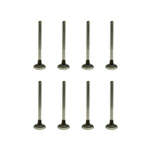 Soupape de moteur 7701469373 1.9D-F8Q pour Renault <span class=keywords><strong>Kangoo</strong></span> Express haute qualité bon <span class=keywords><strong>prix</strong></span> - Product Image 1