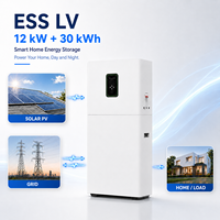 Système de batterie ESS solaire domestique tout-en-un LiFePO4 51,2 V 600 Ah 30 kWh avec onduleur hybride triphasé intégré 12 kW