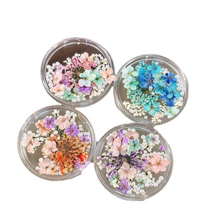 Accesorios para <span class=keywords><strong>Uñas</strong></span> TSZS, Flor Seca Natural de Cinco Pétalos <span class=keywords><strong>con</strong></span> Perla, Decoración de <span class=keywords><strong>Uñas</strong></span> Floral Pequeña Ultrafina para DIY - Product Image 5