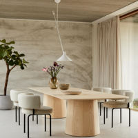 Chaise de salle à manger minimaliste Ins à dossier ouvert et demi-bras en boucle, avec pieds en métal courbé, pour salon, salle à manger et décoration intérieure