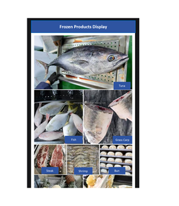 Máy làm đông nhanh kiểu mới 30 khay khoai tây chiên, công suất 100kg/giờ, dùng cho hải sản đông lạnh - Product Image 3