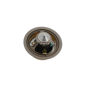 Régulateur de thermostat moteur Dz120917 pour pièces d'excavatrice, assurance qualité - Product Image 3