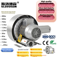 2SL820-7HH37 Souffleur régénératif à canal latéral haute pression et faible bruit, pompe à vide OEM, personnalisation pour ateliers, pompe à air