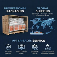 Máquina de conformado de alambre CNC 2D con personalización de sistema operativo multilingüe, solución personalizada para doblado de alambre metálico, dobladora de alambre 2D