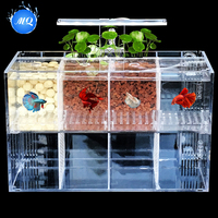 Moderne 220V Betta Fish Tank Petit Incubateur De Bureau En Acrylique Boîte D'isolation Sans Eau Écologique Aquarium En Plastique Élevage