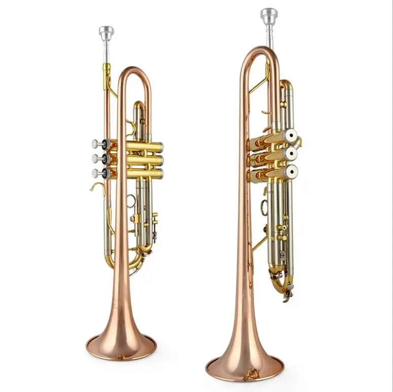 Trompeta de alta calidad, instrumento musical perfecto, nuevo diseño, precio barato, venta al por mayor