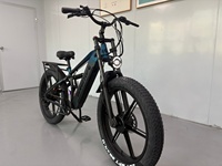 Vélo de montagne électrique à double moteur, batterie lithium 20Ah/48V, VTT 26'' *4.00, suspension intégrale, frein hydraulique, vélo de ville électrique
