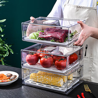 Tiroir de tri des aliments de cuisine en PET transparent, organisateur de bac de réfrigérateur, boîte de rangement pour réfrigérateur