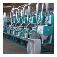 Ligne de production de farine de maïs 20TPD avec une capacité de production petite et moyenne, intégrant le nettoyage, l'épluchage et le broyage