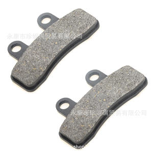 Jeu de plaquettes de frein Zhejiang DSP012 Little Eagle avant sans amiante pour remplacement de moto de rue - Product Image 3