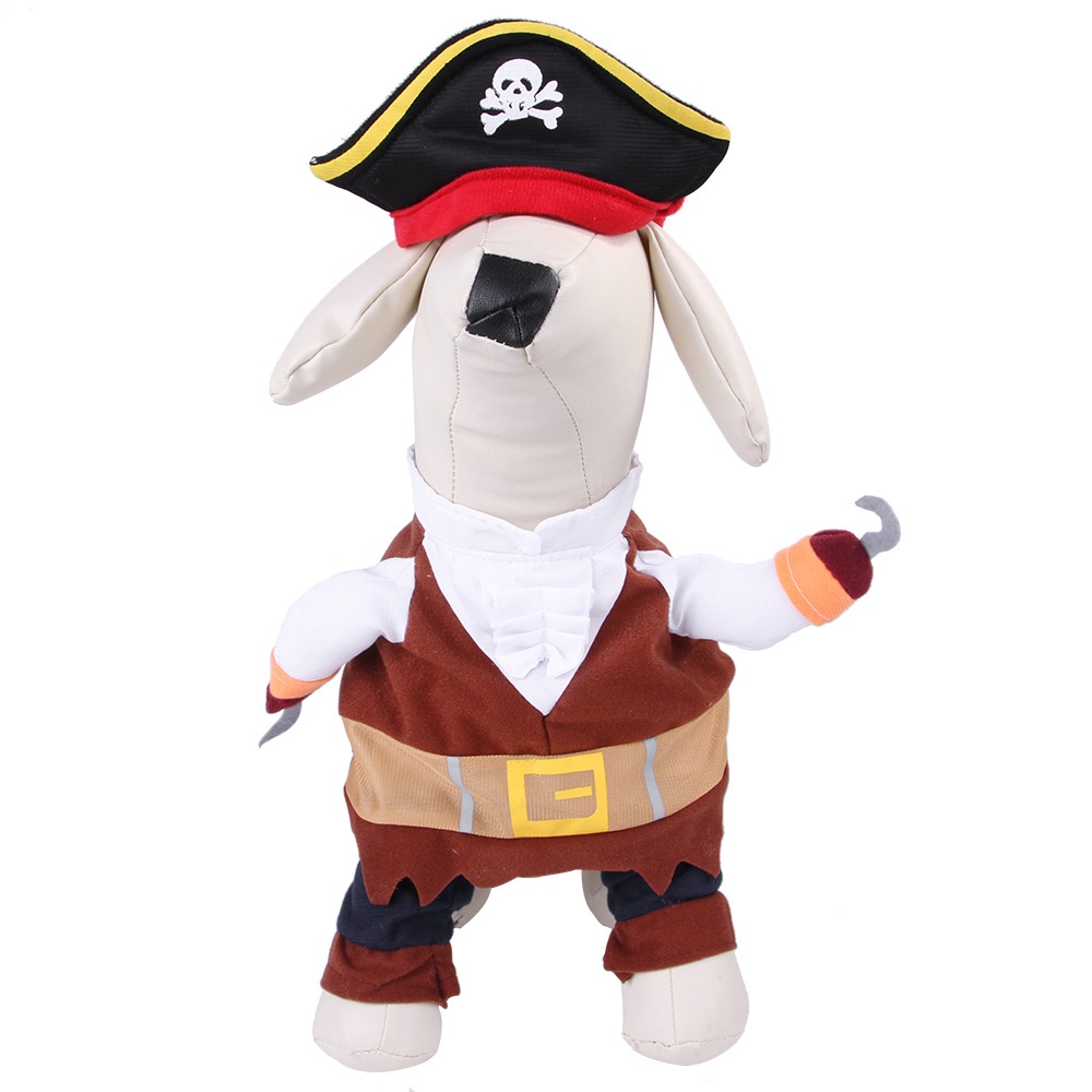 B02209 vendita calda pirata
