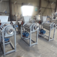 Industriële Cashew Appelbanaan Watermeloen Avocado Suikerriet Passievruchtensap Verwerkingsmachine