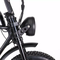 Gros pneu vélo électrique adulte personnalisé vélo électrique à vitesse rapide double Suspension e-bike