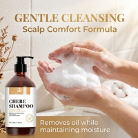 Ensemble de produits capillaires Chebe : Soin capillaire personnalisé, marque privée, shampoing naturel, après-shampoing, huile de croissance, prévention de la chute des cheveux