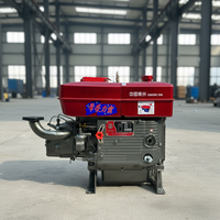 Moteur diesel monocylindre quatre temps refroidi par eau HP ZS1115-22 à démarrage manuel, facile à utiliser, en forte demande