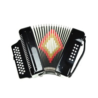 SEASOUND OEM Accordéon Diatonique Professionnel en Bois 31 Boutons 12 Basses Noir Portable pour Étudiant JB3112A