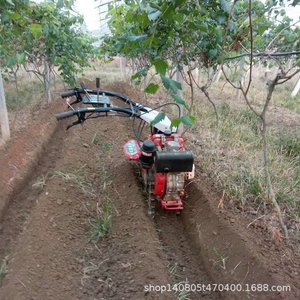 Motoculteur à essence multifonctionnel rouge pour la plantation de fraises, d'oignons et de gingembre - Product Image 4