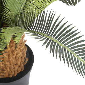 ต้นปาล์มปฏิวัติเขียวใช้ตกแต่งในร่มและกลางแจ้ง,ต้นไม้เทียม Sago Cycas สินค้าจากประเทศจีน - Product Image 4