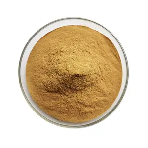 Pure Natural Reishi Mushroom Ganoderma Lucidum Extract Powder