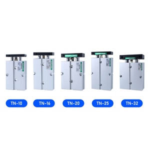 TN/TDA Series <b>Small</b> Pneumatic Dual Shaft Double Rod Piston Air Cylinder with Anti-Crash <b>Cushion</b>-Hofujng - Product Image 4