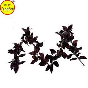 เถาวัลย์ใบกุหลาบประดิษฐ์แบบไม่จำกัดความยืดหยุ่น 172 ซม. สีดำ 36 ใบ รูปทรงสามง่าม สำหรับตกแต่งบ้านและนอกบ้าน - Product Image 3