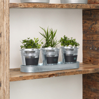 Ensemble de jardinières pour plantes aromatiques d'intérieur et d'extérieur Pots de plantes en métal avec rebord de fenêtre et plateau Pots polyvalents pour herbes aromatiques et fleurs