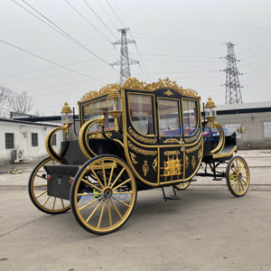 Carruaje Real Eléctrico de Lujo Negro con Asientos Rojos, Varios Colores Disponibles, Carruaje Eléctrico, Carruaje Tirado por Caballos, Hecho en China - Product Image 5