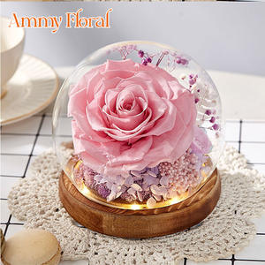 AM-PFA50 fiore Ammy conservato ha rifinito la copertura di vetro del fiore di san valentino regalo creativo della scatola regalo della decorazione di nozze - Product Image 2