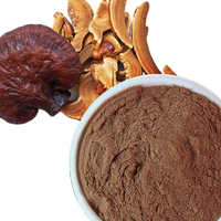 Poudre d'extrait de champignon Reishi Ganoderma Lucidum biologique certifié UE et USDA